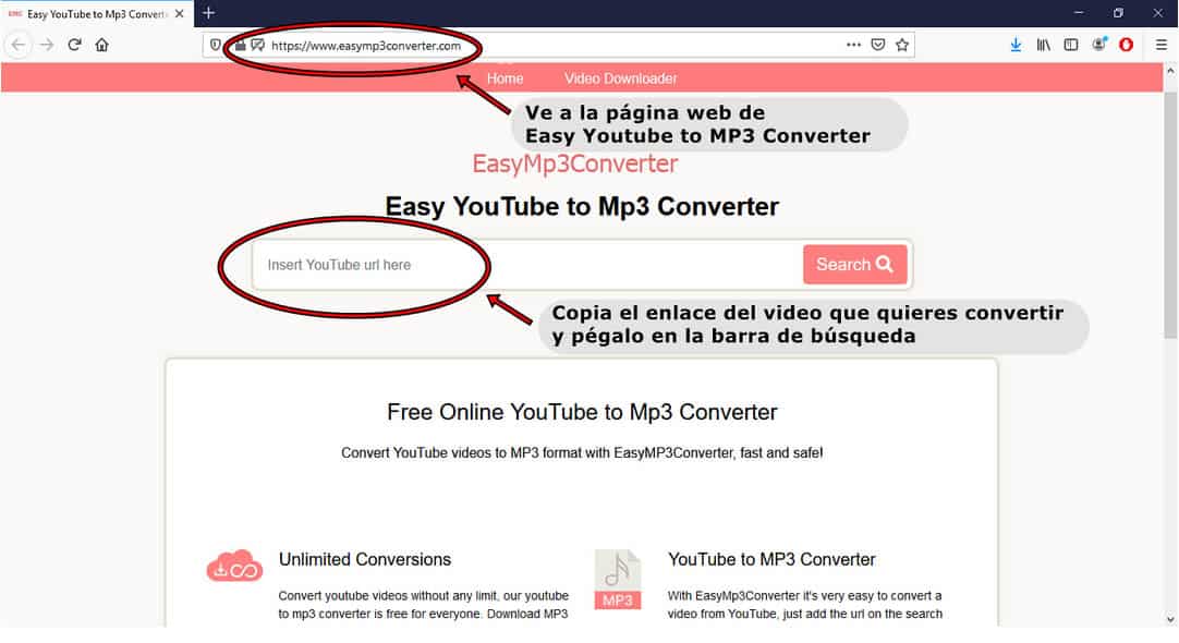 Convertidor-de-youtube-a-mp3_inst_Easy MP3 Converter_1