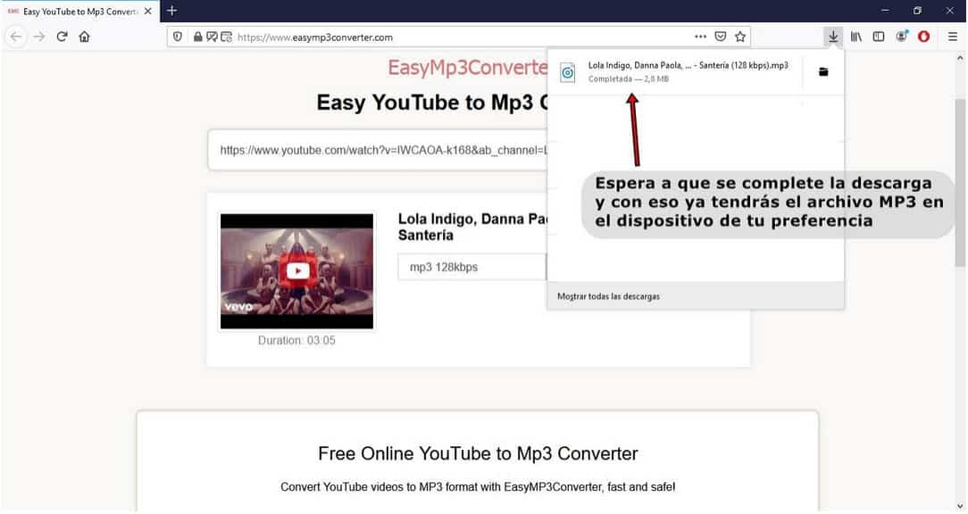 Convertidor-de-youtube-a-mp3_inst_Easy MP3 Converter_3