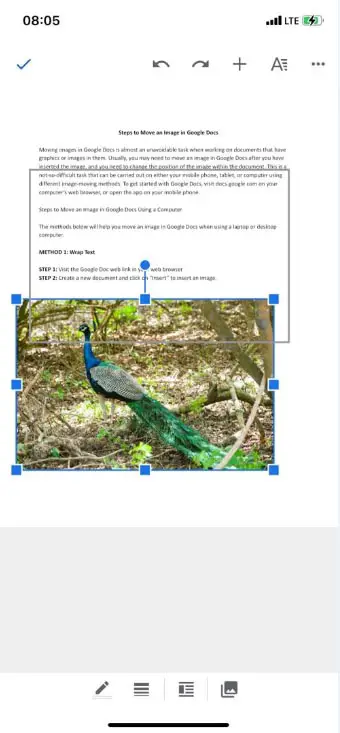 How to move images in Google Docs