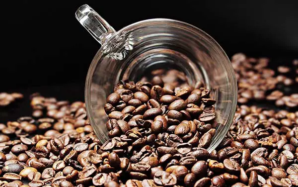 Mr Coffee ECMP50 review Dual espresso, cappuccino and latte machine