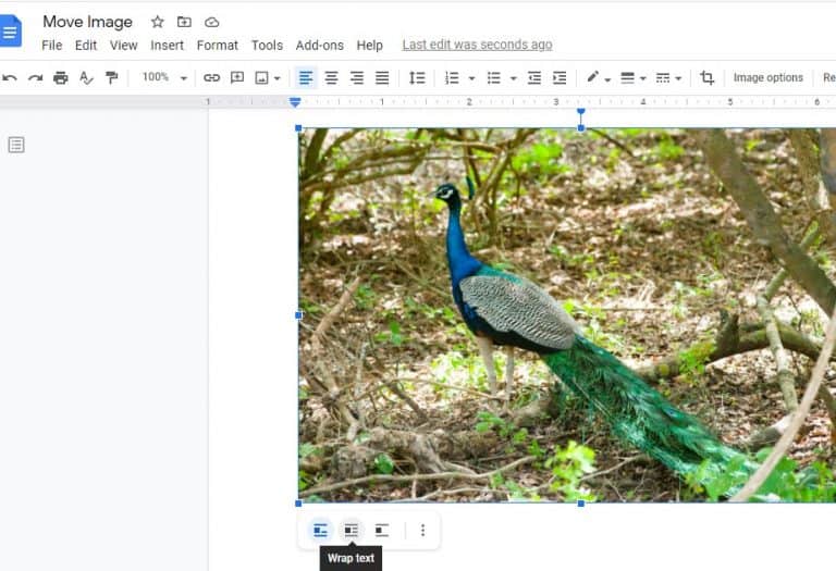 how-to-move-images-in-google-docs-step-by-step-guide